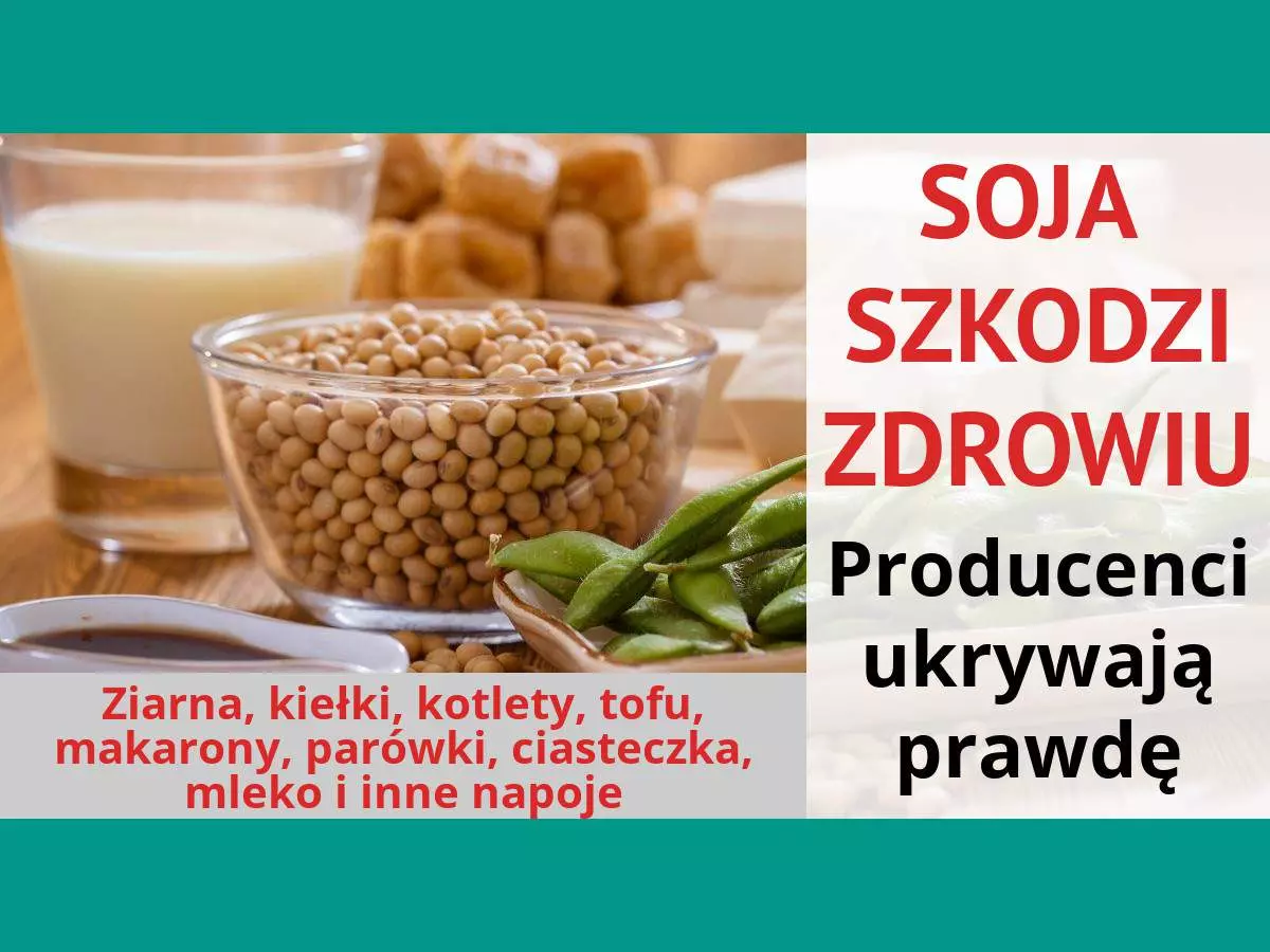 Soja i produkty sojowe