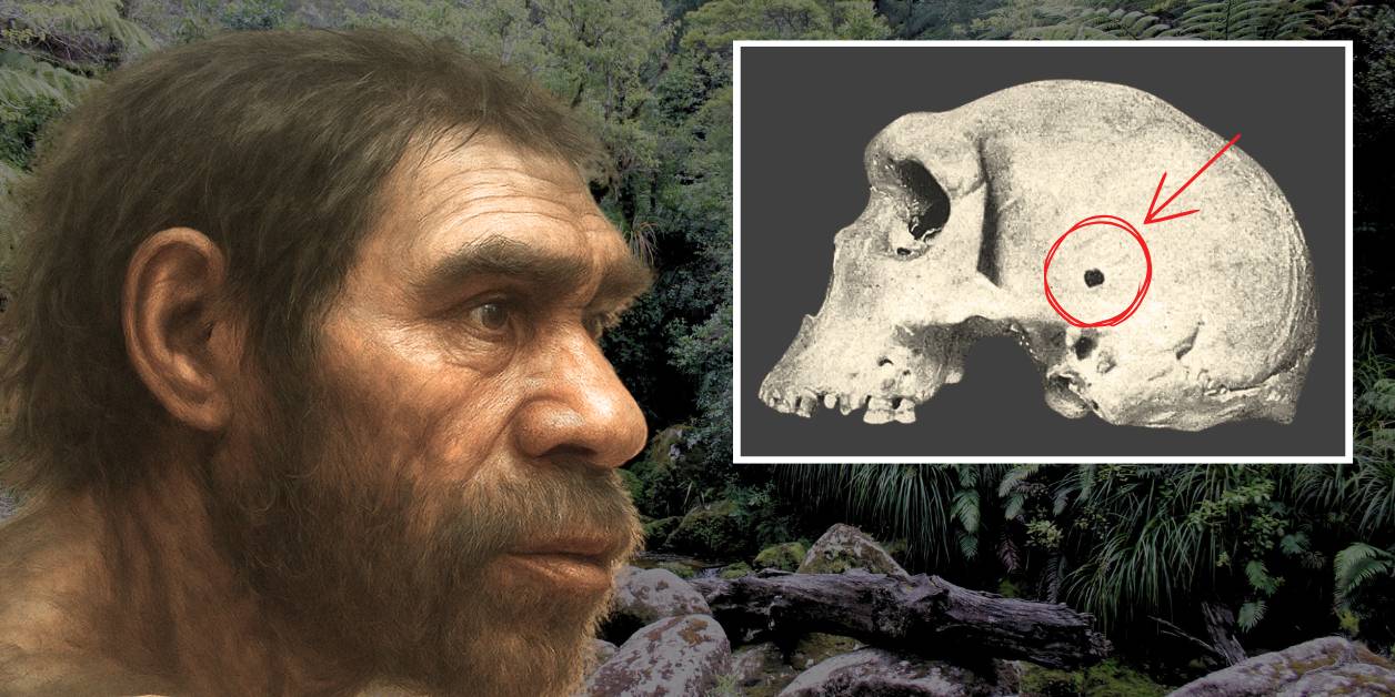 Prehistoryczna czaszka z Zambii