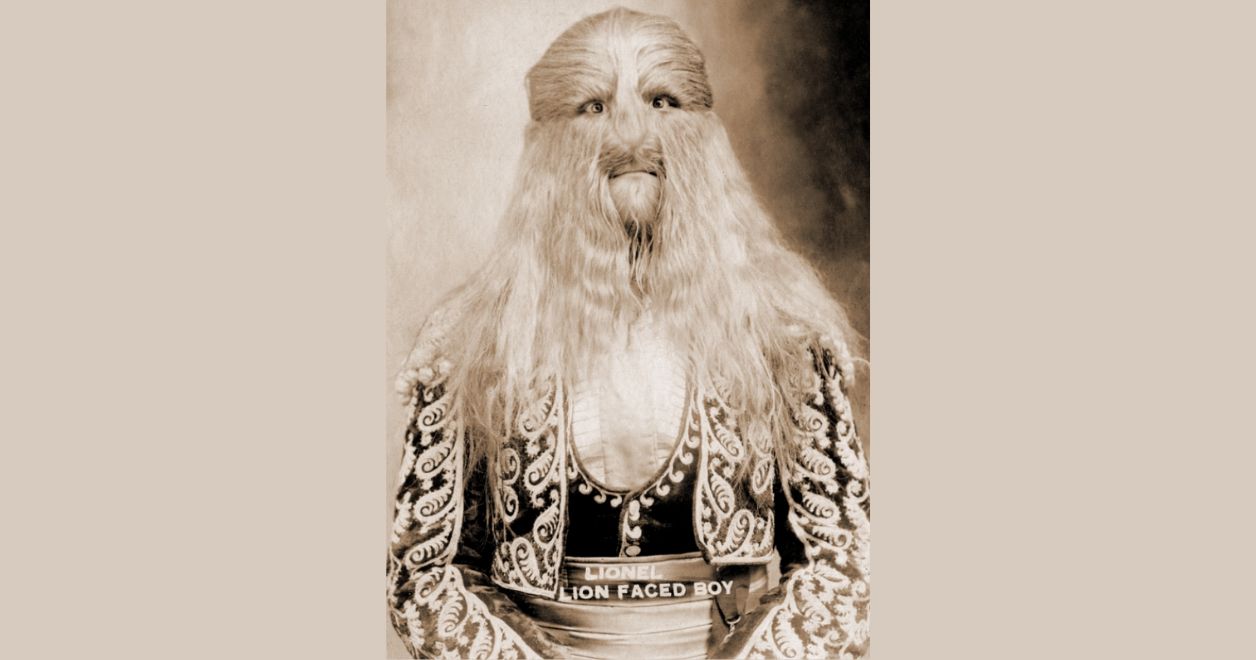 Stefan Bibrowski