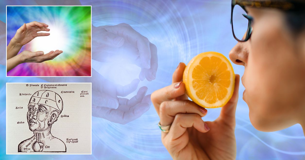 Czy naprawdę mamy tylko 5 zmysłów?