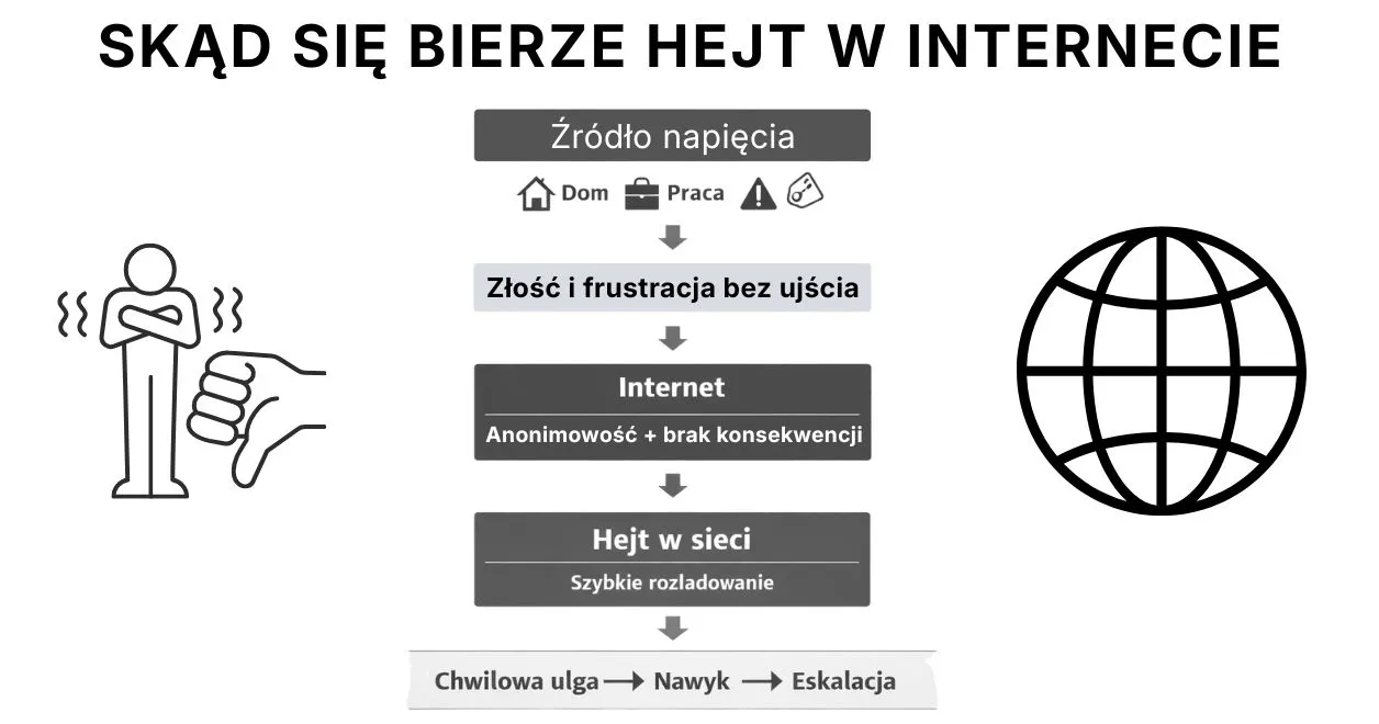 Infografika: przyczyny zjawiska hejtu w sieci