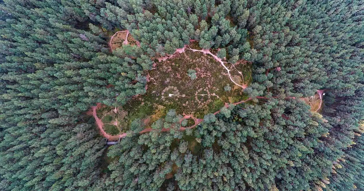 Kamienne kręgi w Odrach