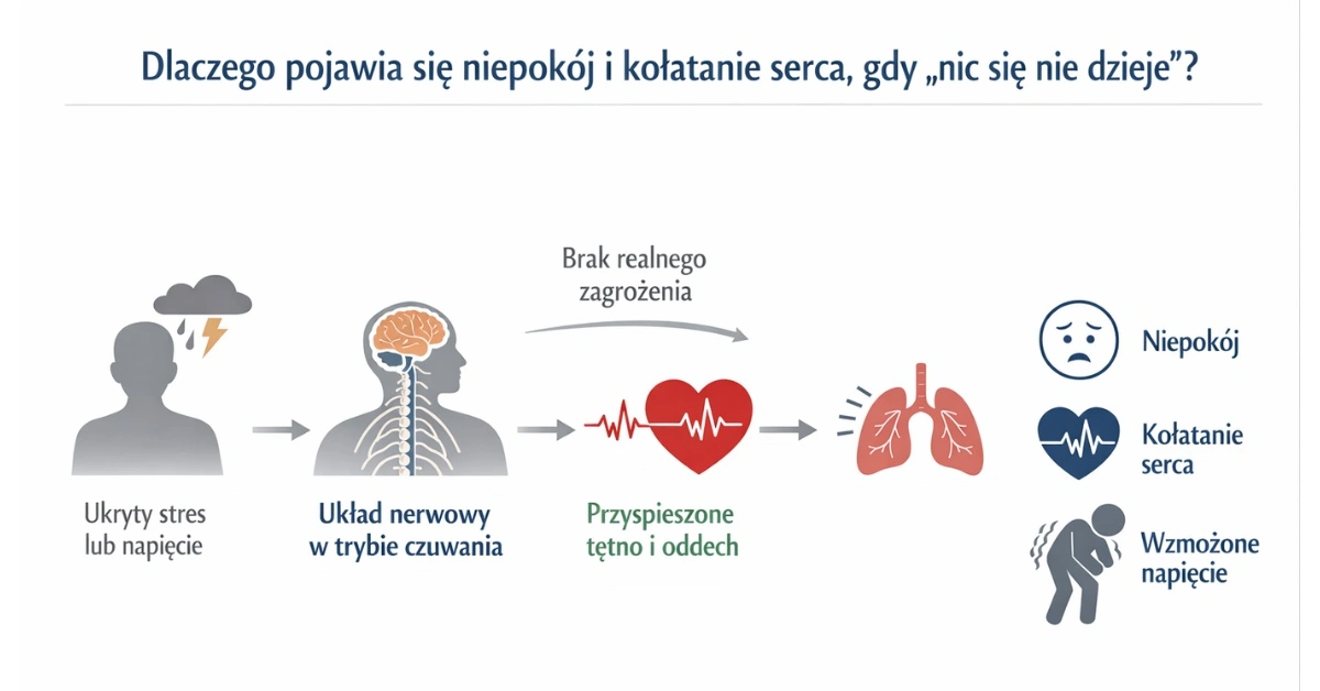 Infografika pokazująca, dlaczego pojawia się niepokój i kołatanie serca mimo braku realnego zagrożenia – od ukrytego stresu, przez aktywację układu nerwowego, po objawy somatyczne.