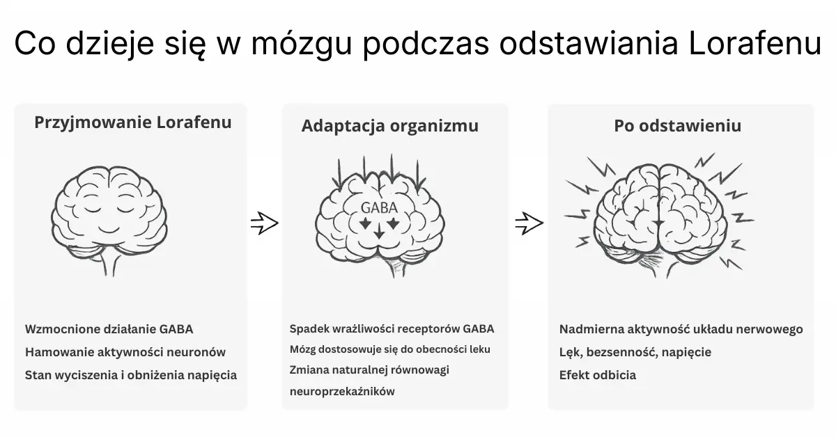 Odstawienie Lorafenu - Ilustracja procesów w mózgu