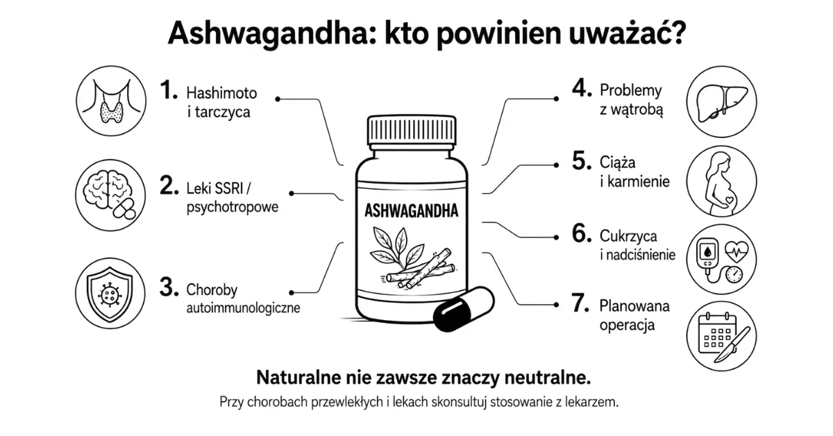 Infografika pokazująca przeciwwskazania do stosowania ashwagandhy, w tym Hashimoto, leki SSRI, choroby autoimmunologiczne, problemy z wątrobą, ciąża i nadciśnienie