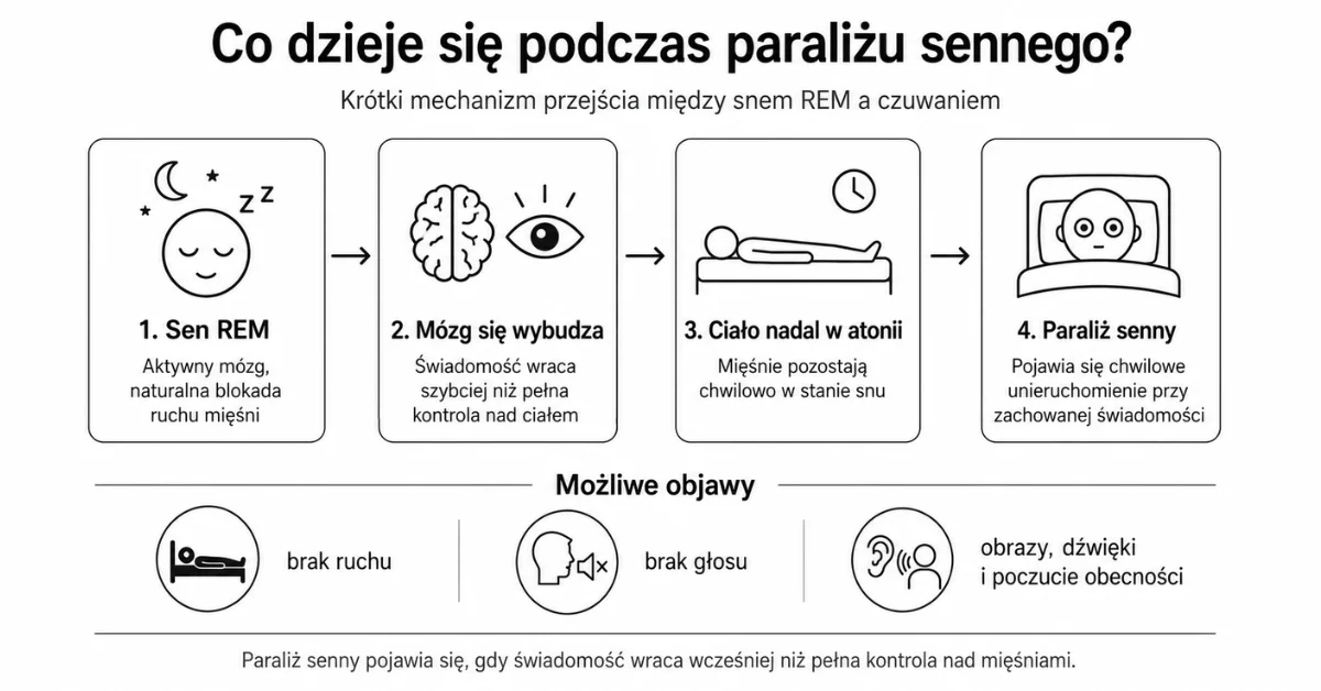 Jak powstaje paraliż senny podczas przejścia ze snu REM do czuwania