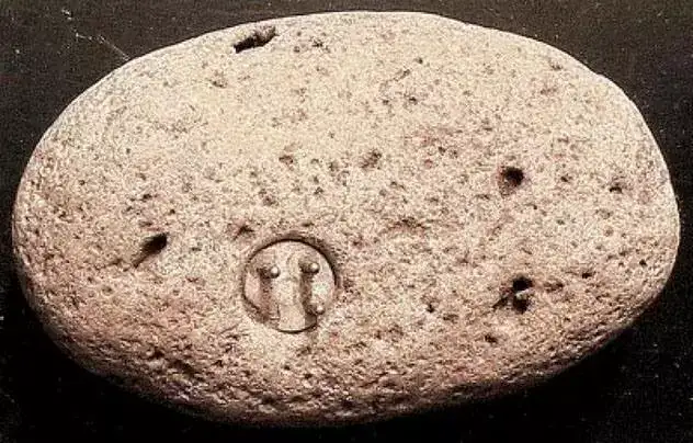 Enigmalith Williamsa