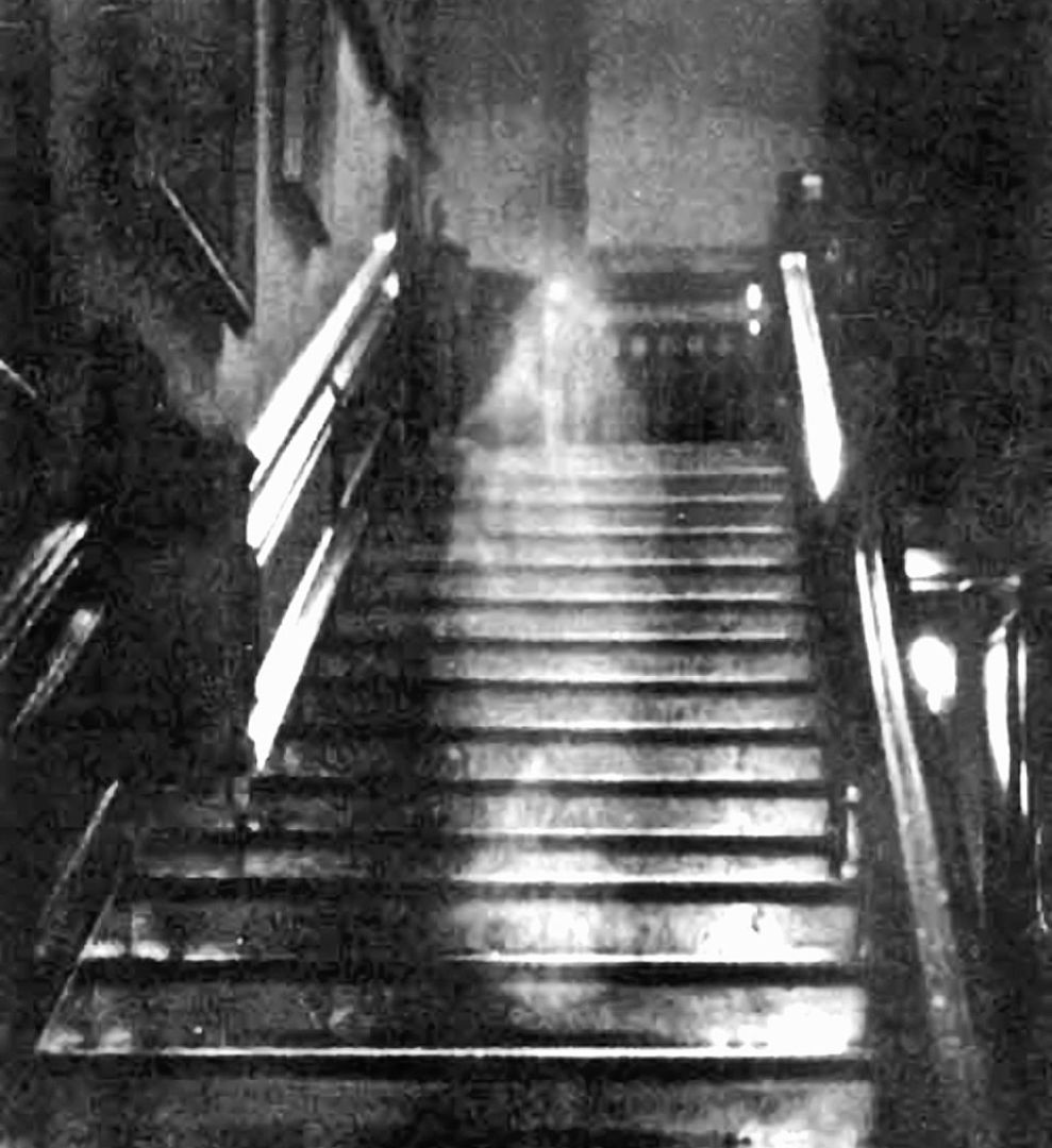 Brązowa Dama z Raynham Hall