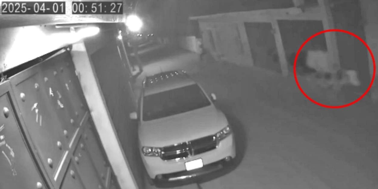 Rzekomy jeździec bez głowy zarejestrowany przez kamery CCTV