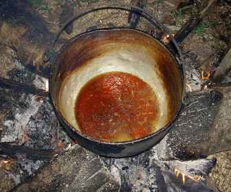 Ayahuasca (1)