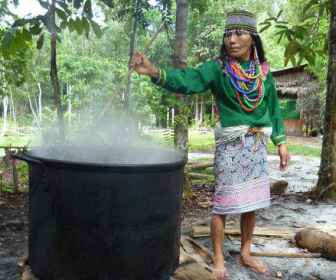 Ayahuasca (4)