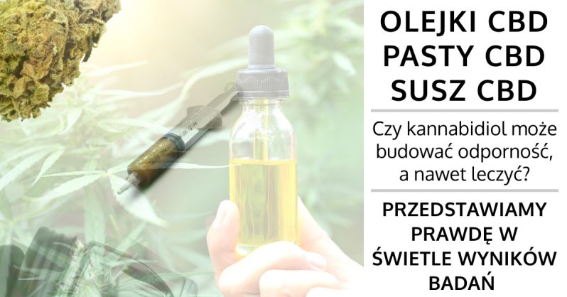 Czy kannabidiol - CBD - posiada właściwości lecznicze?