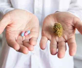 CBD leczy! (1)