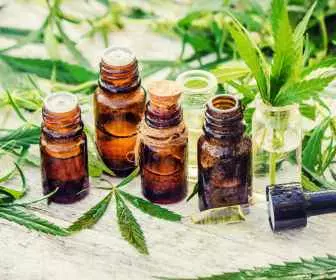 CBD leczy! (2)