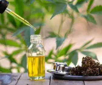 CBD leczy! (4)
