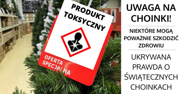 Świąteczna choinka a zdrowie