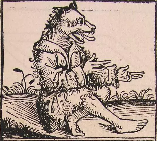 Cynocefal - Ilustracja z Liber Chronicarum
