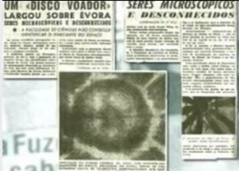 Tajemniczy mikroorganizm z Évory - Artykuły w gazetach