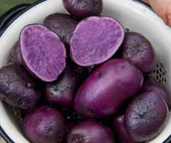 Fioletowe ziemniaki (1)