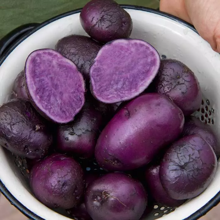 Fioletowe ziemniaki (1)