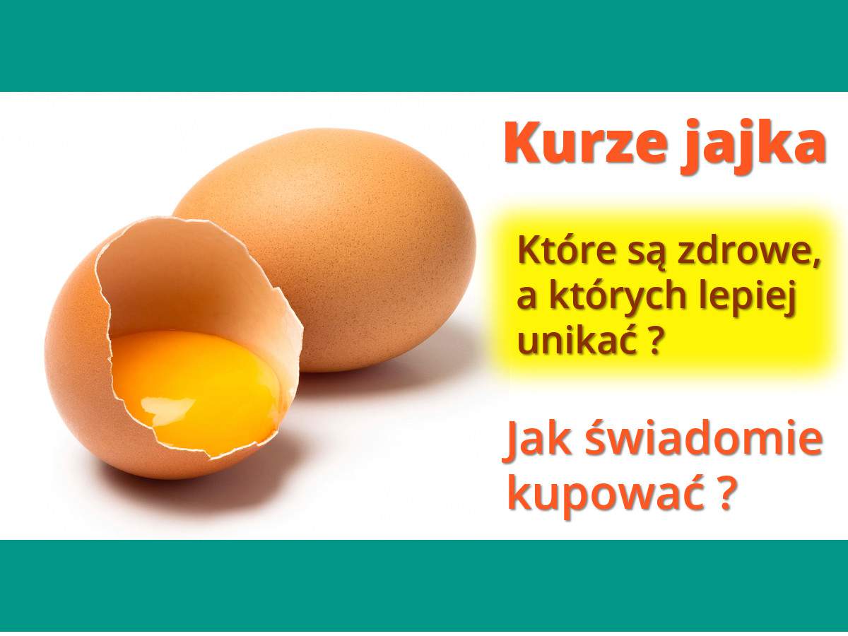Czy jajka są zdrowe? zdrowepasje.pl