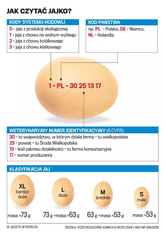 Co oznaczają kody na jajkach?