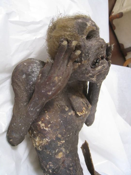 Japońska mumia syreny