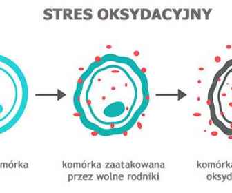 Stres oksydacyjny