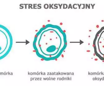Stres oksydacyjny