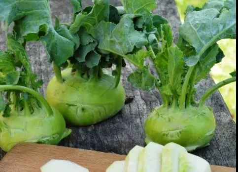 Kalarepa jest bardzo zdrowym warzywem