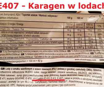 Karagen w lodach