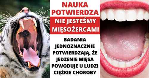 Czy mięso szkodzi zdrowiu?