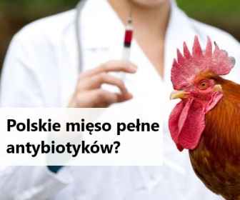 Ile antybiotyków jest w polskim mięsie?