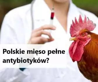 Ile antybiotyków jest w polskim mięsie?