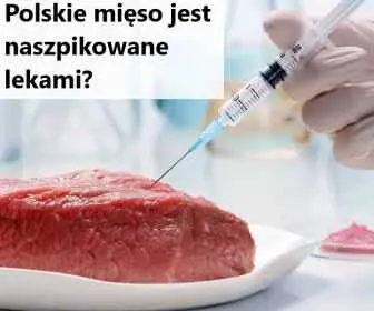Polskie mięso nafaszerowane chemią! Pełno w nim antybiotyków!
