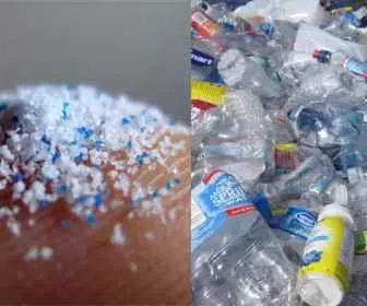 Mikroplastik jest już wszędzie!