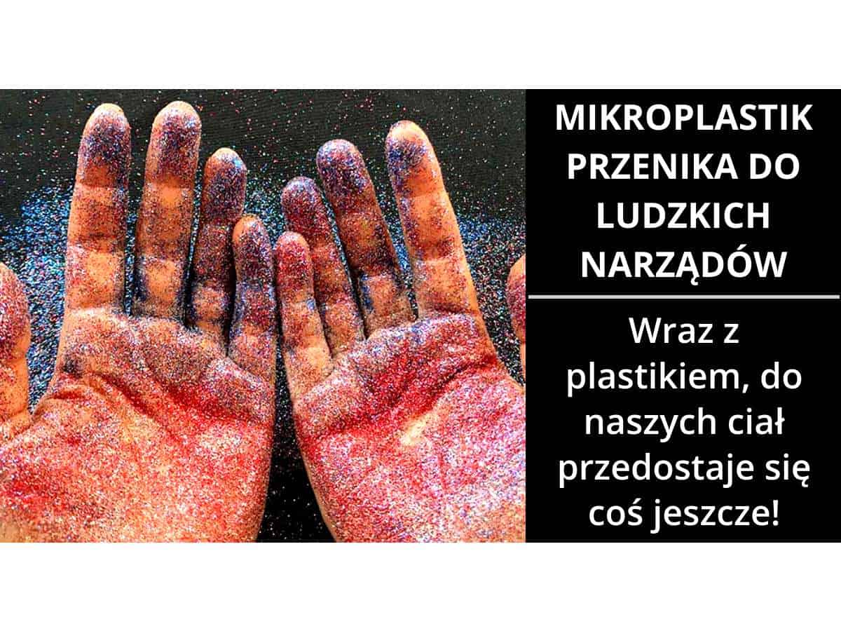 Mikroplastik w ludzkim ciele!