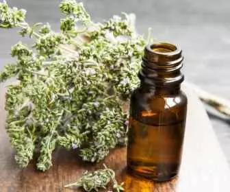 Naturalne antybiotyki które działają - Olejek z tymianku