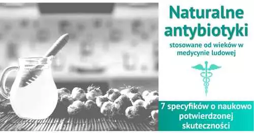 Naturalne antybiotyki które działają!