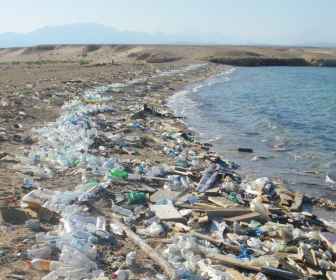 Plastik w oceanach niszczy tętniące w nich życie!