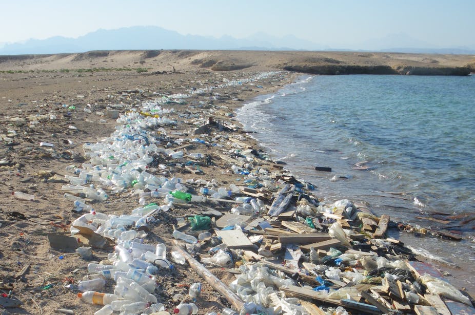Plastik w oceanach niszczy tętniące w nich życie!
