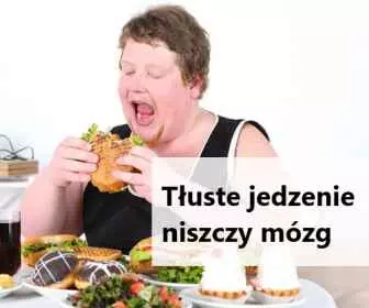 Tłusta dieta źle wpływa na zdrowie mózgu!