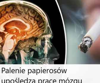 Palenie papierosów niszczy mózg!