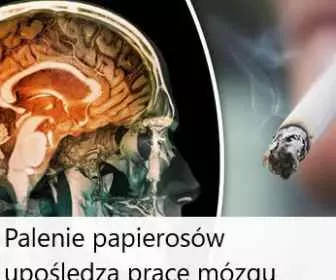 Palenie papierosów niszczy mózg!