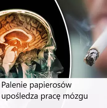 Palenie papierosów niszczy mózg!