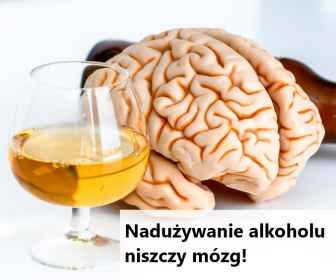 Regularne picie alkoholu stopniowo wyniszcza mózg i przyspiesza jego starzenie się