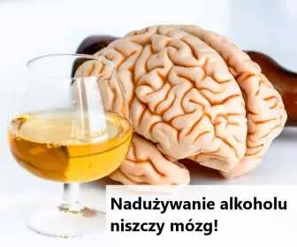 Regularne picie alkoholu stopniowo wyniszcza mózg i przyspiesza jego starzenie się
