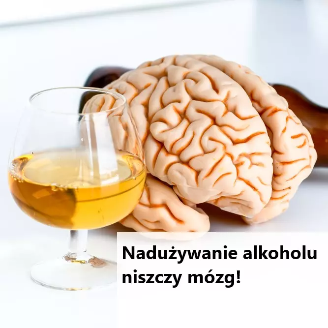 Regularne picie alkoholu stopniowo wyniszcza mózg i przyspiesza jego starzenie się