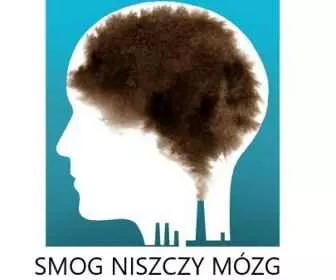 Zanieczyszczone powietrze stopniowo wyniszcza mózg!