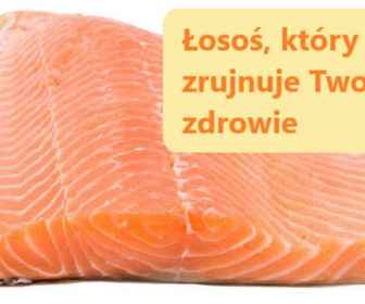 Łosoś hodowlany jest niekorzystny dla zdrowia!